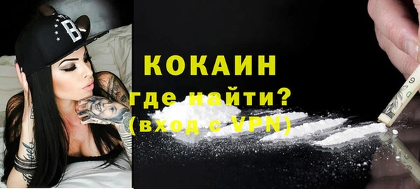 крисы Абаза