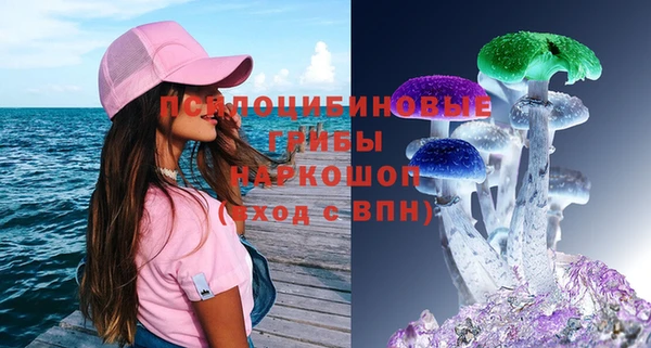крисы Абаза