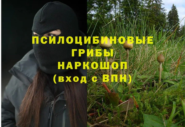 прущая мука Абдулино