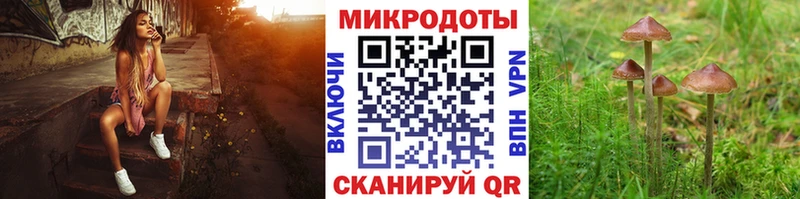 Галлюциногенные грибы ЛСД  Красновишерск 